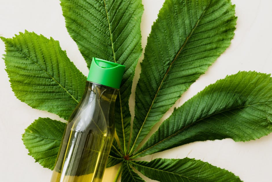Herbal Beauty Hacks You Need to Know for Glowing Skin